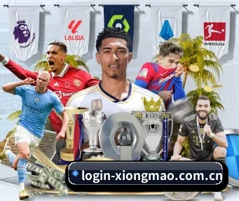 login-xiongmao.com.cn APP - ob game